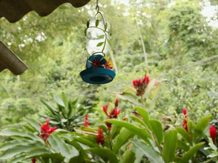 Suites Cocaia Ilhabela Dış mekan fotoğraf