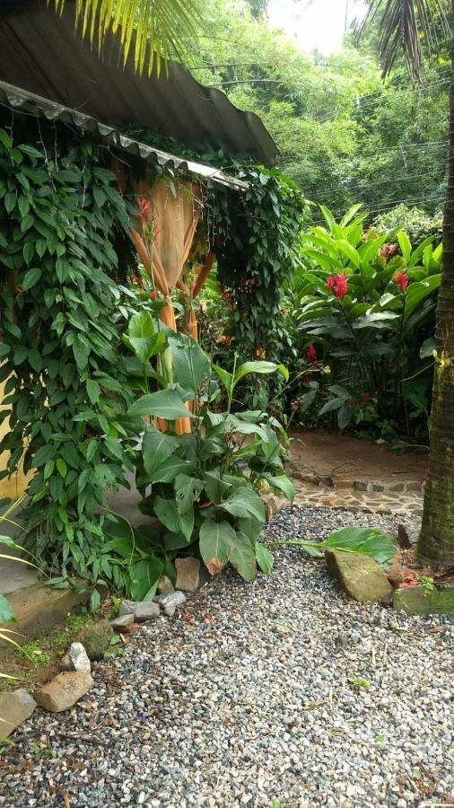 Suites Cocaia Ilhabela Dış mekan fotoğraf