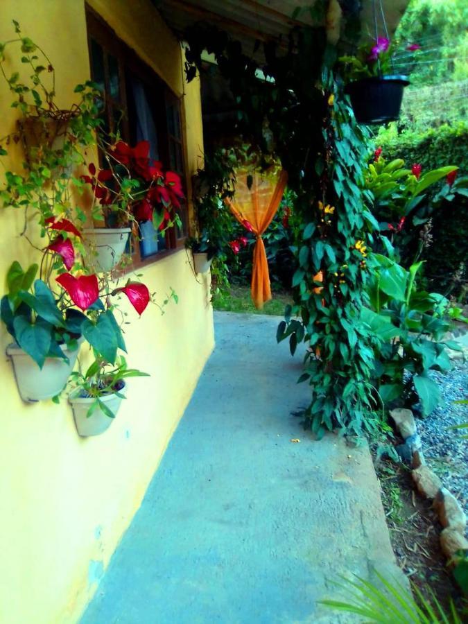 Suites Cocaia Ilhabela Dış mekan fotoğraf