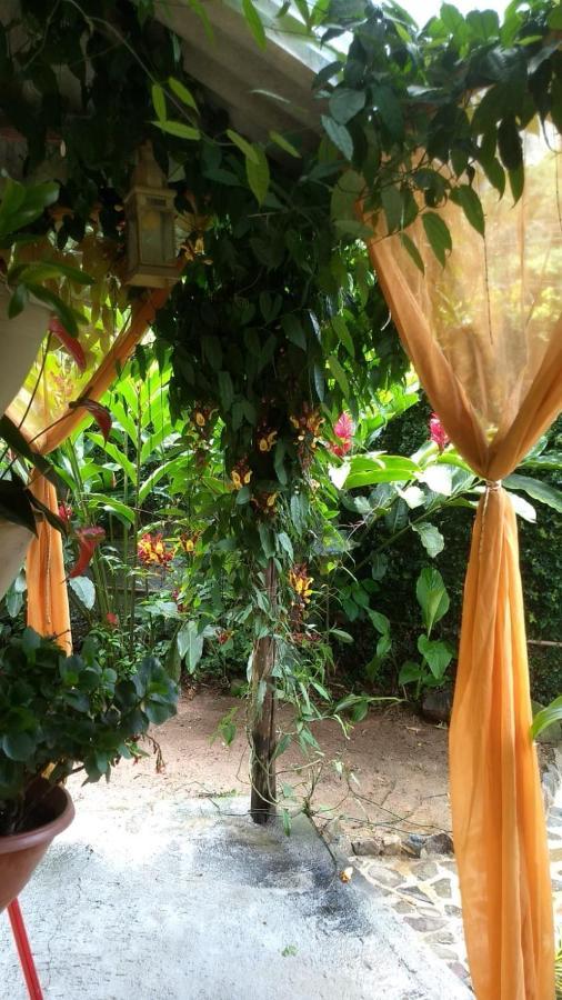 Suites Cocaia Ilhabela Dış mekan fotoğraf